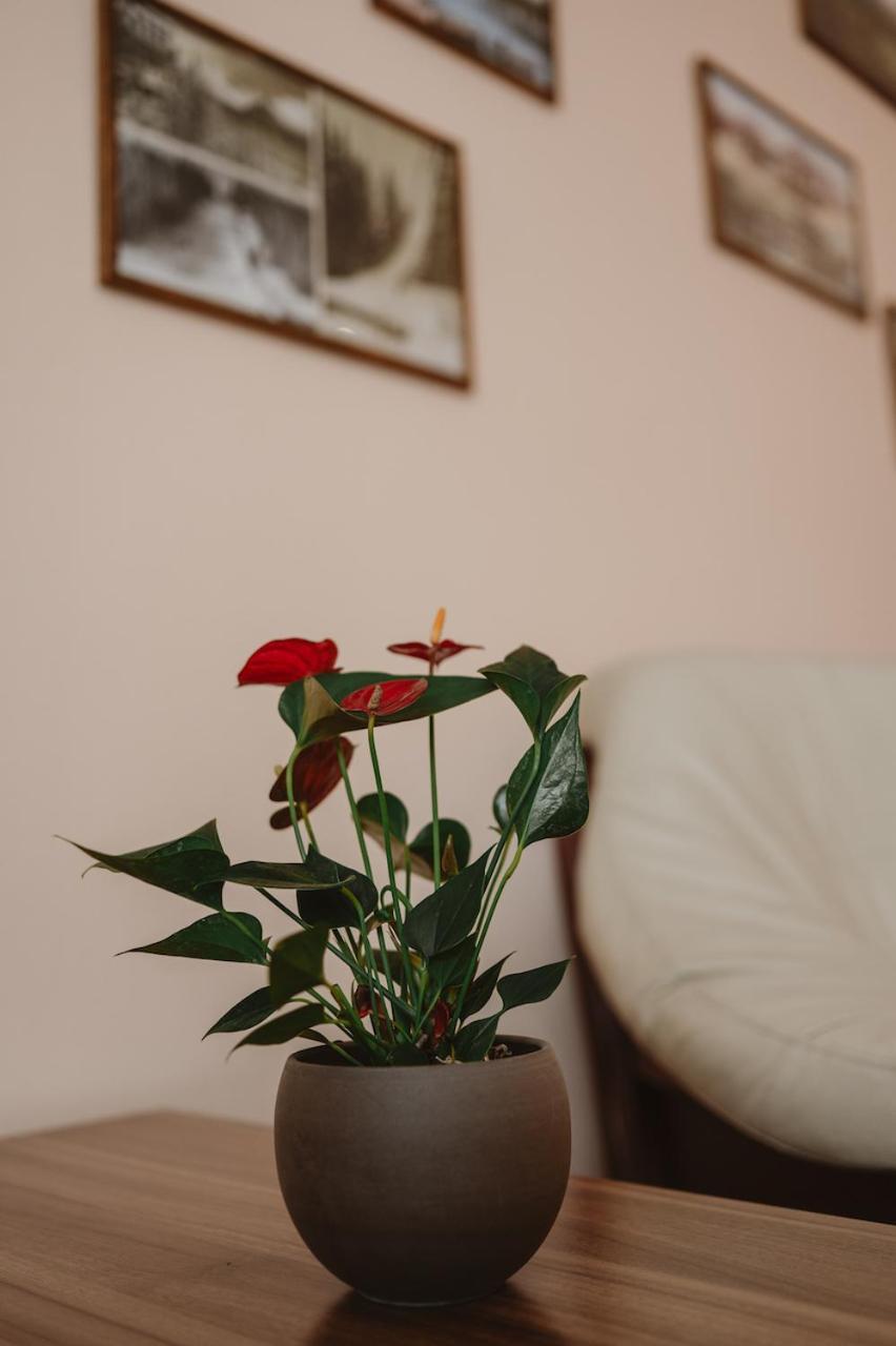 Hotel Solisko Štrbské Pleso Екстериор снимка
